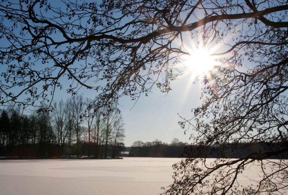 WINTER I von Borchert Photoart 