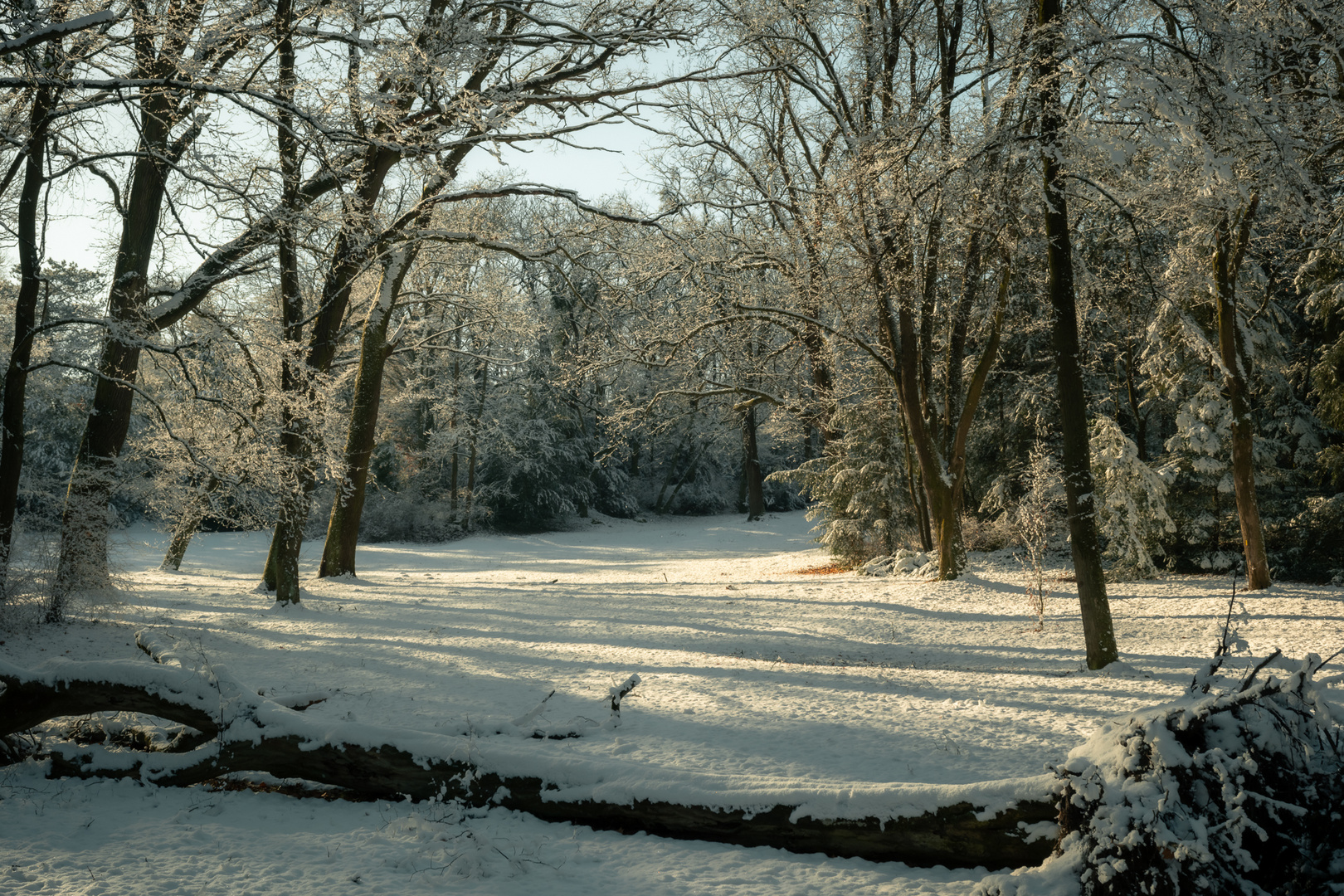 Winter I