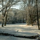 Winter I