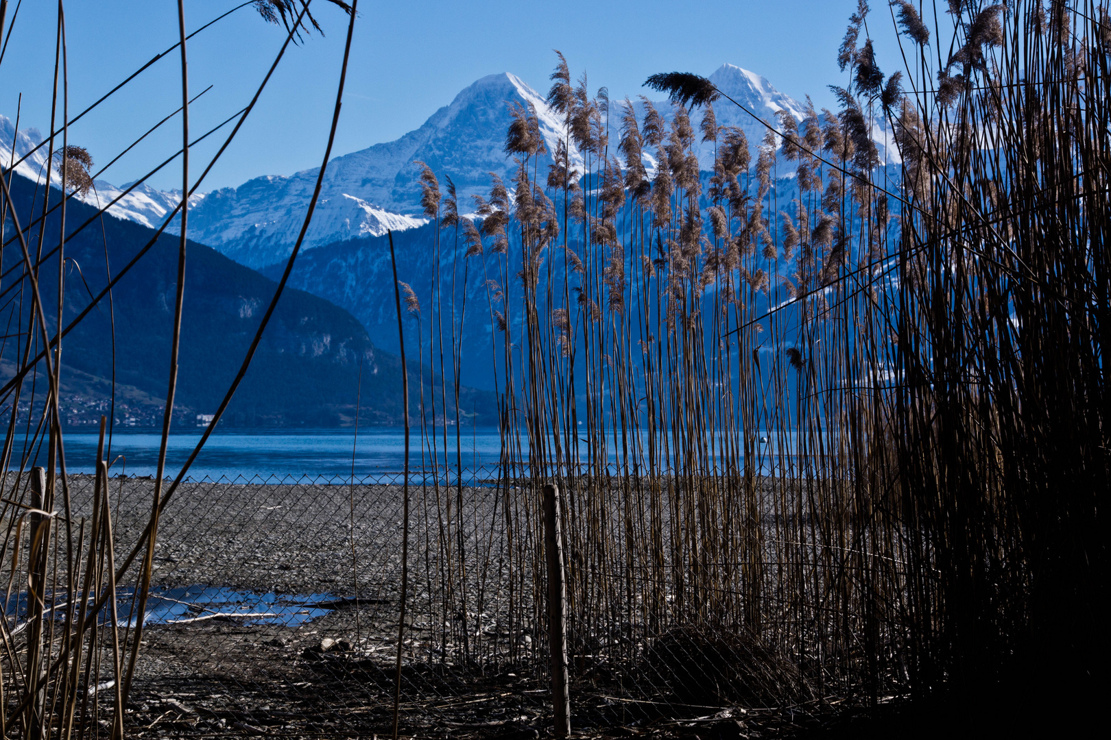 Winter  I Thunersee I  Berner Oberland