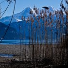 Winter  I Thunersee I  Berner Oberland