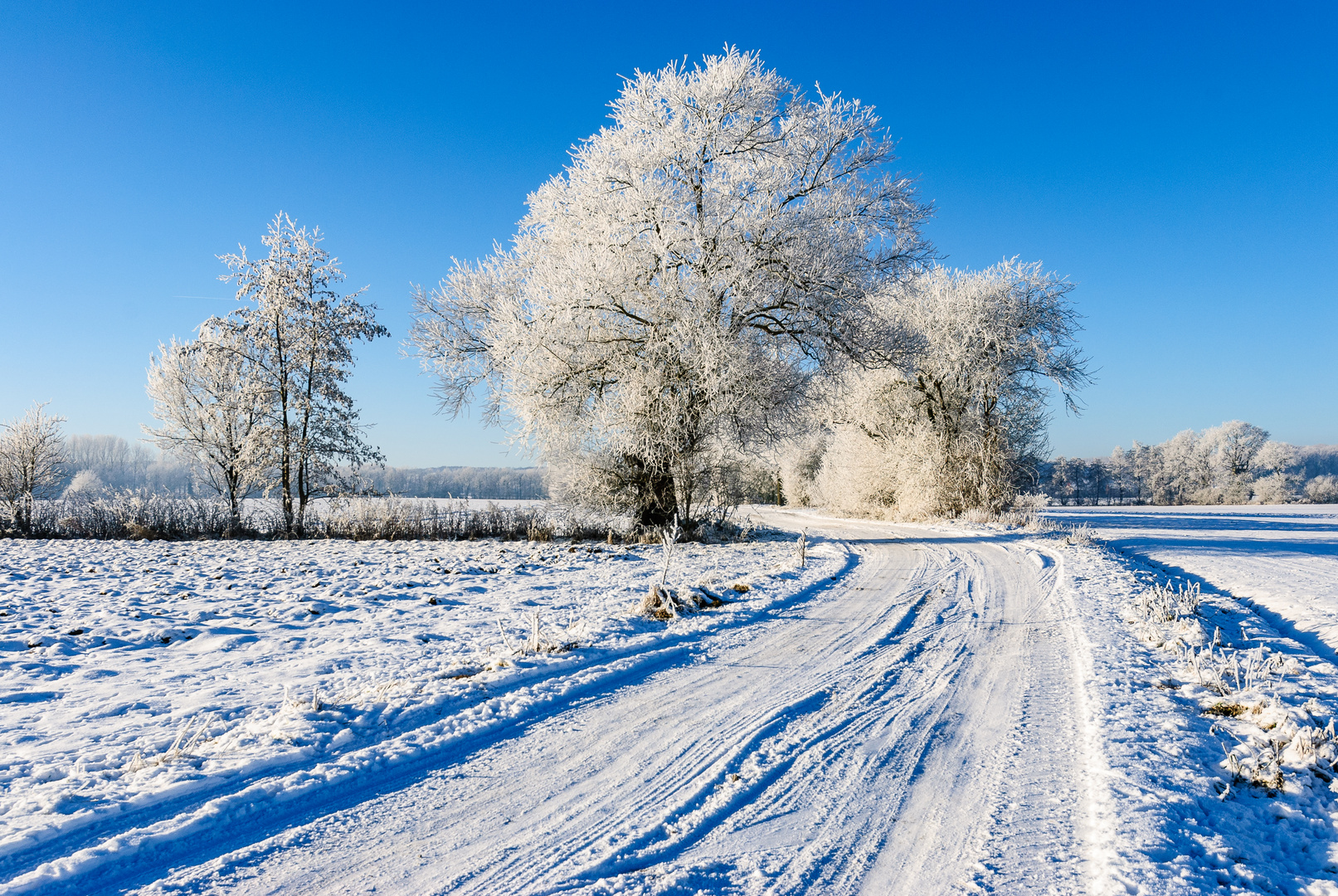 Winter i.d.Baumbergen 2009