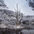 Winter Idyll _2