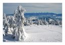 winter idyll von Bergfee