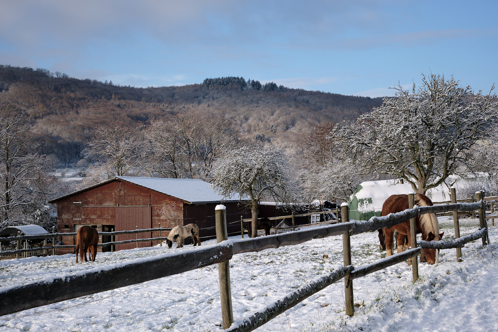 Winter-Idylle