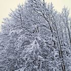 Winter Idylle an der Autobahnauffahrt Boxberg morgens kurz nach halb sieben