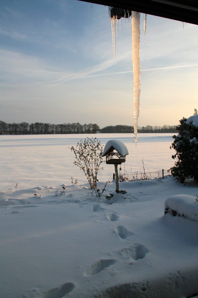 Winter-Idylle im Polarkreis