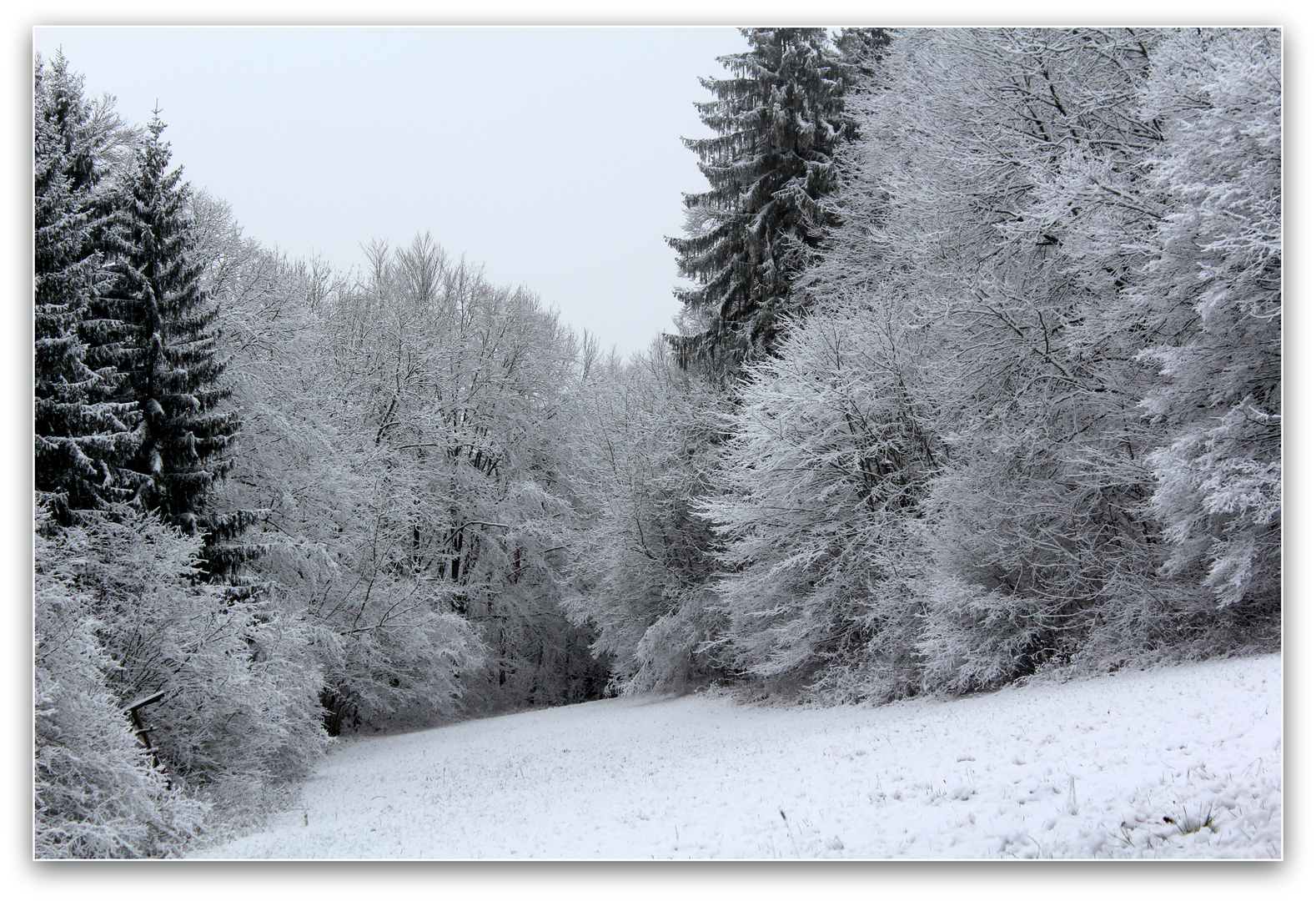 Winter (II)...