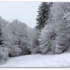 Winter (II)...