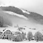 Winter im Ahrntal 2014