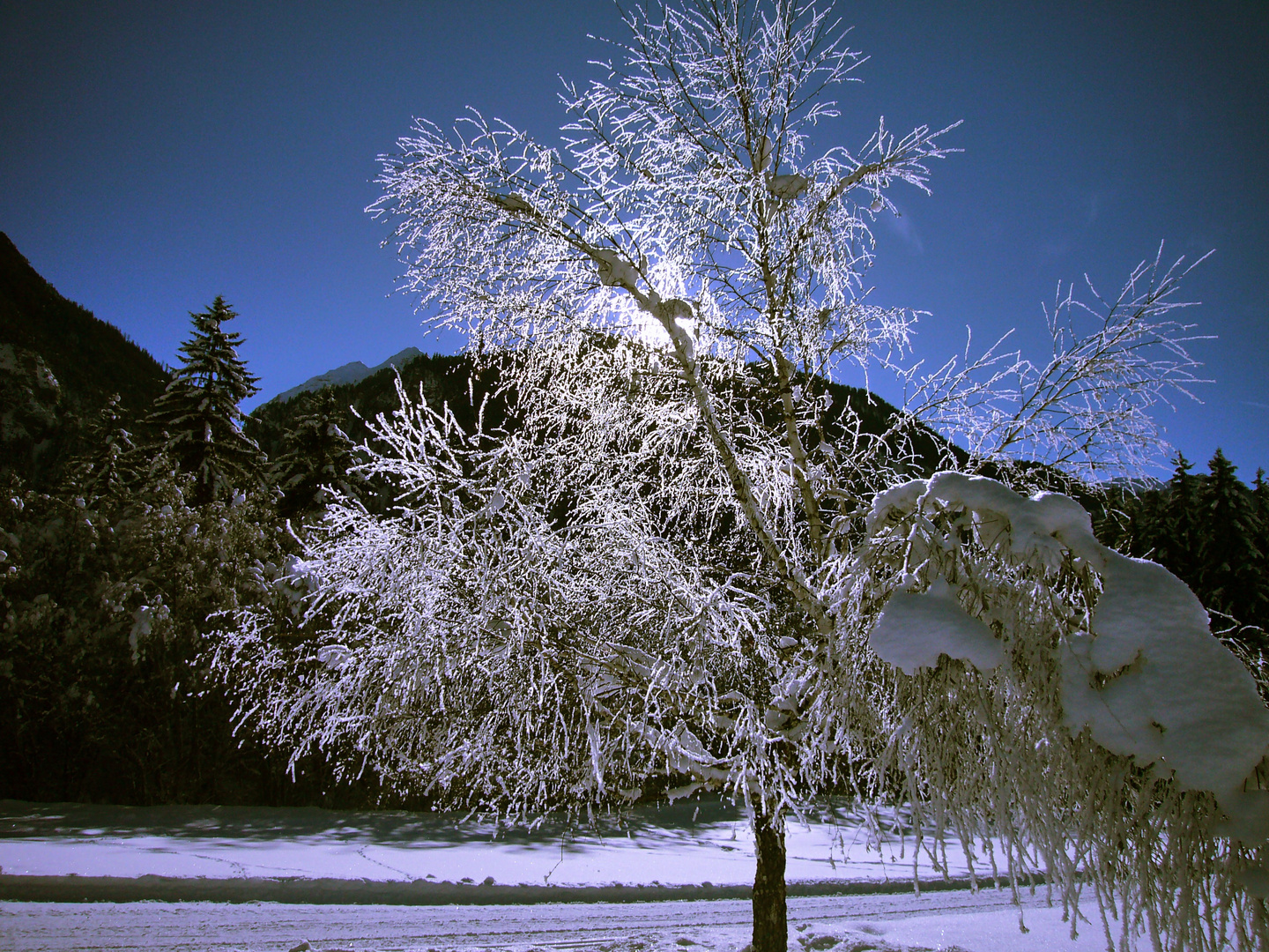 Winter im Albulatal