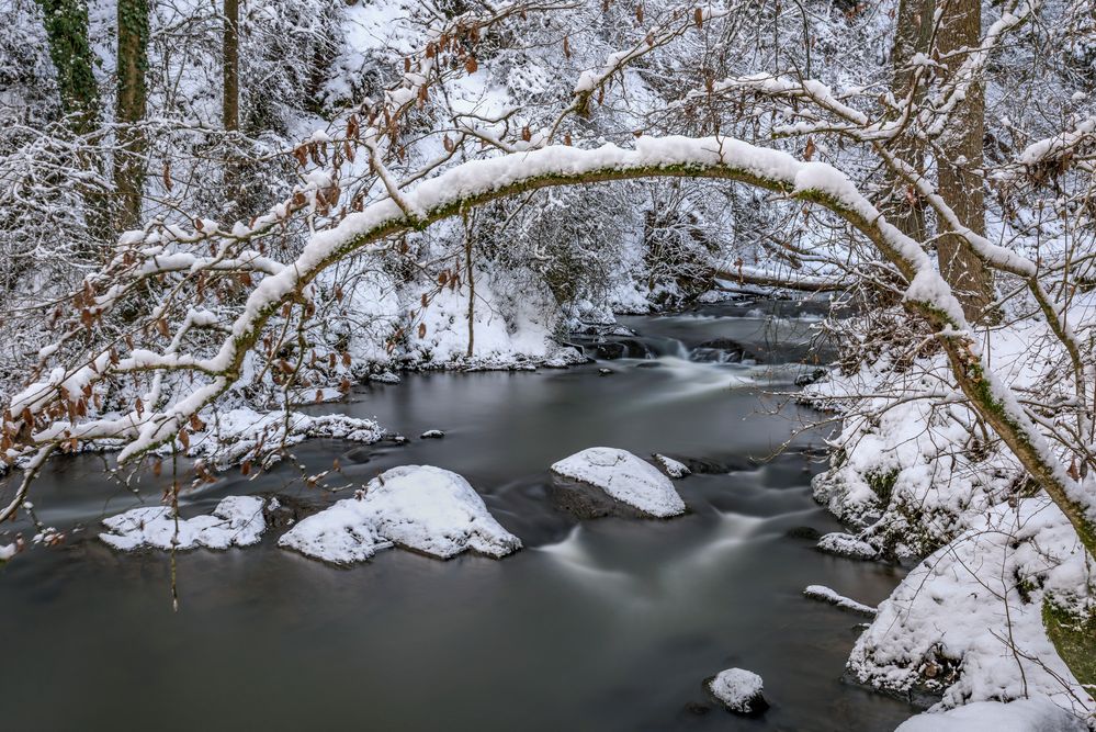 *Winter im Alftal/Strohner Schweiz*