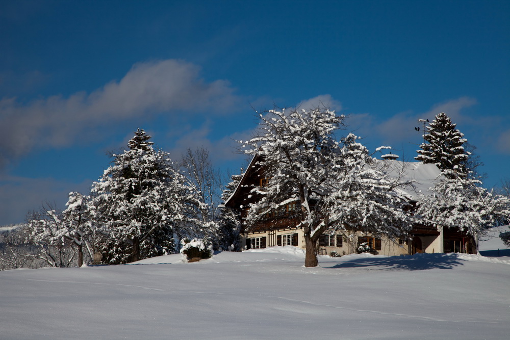 Winter im Allgäu