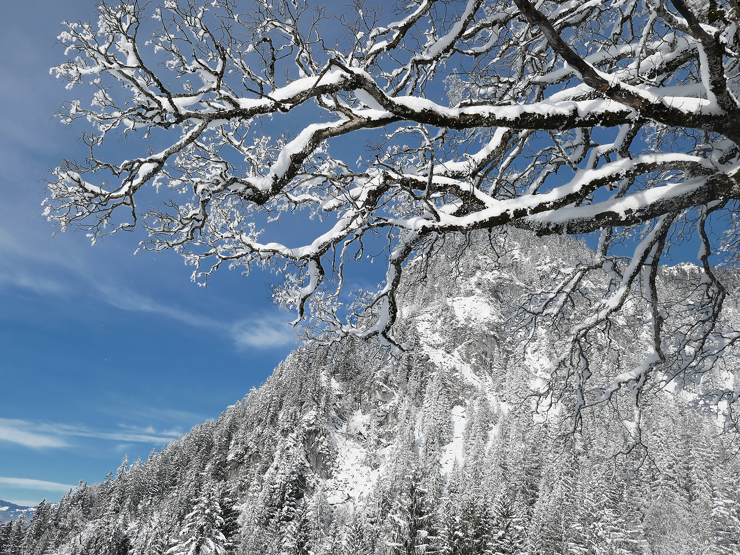 Winter im Allgäu