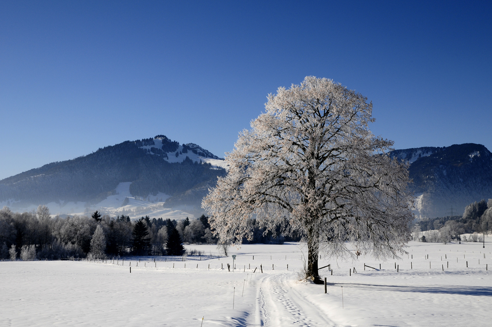 Winter im Allgäu