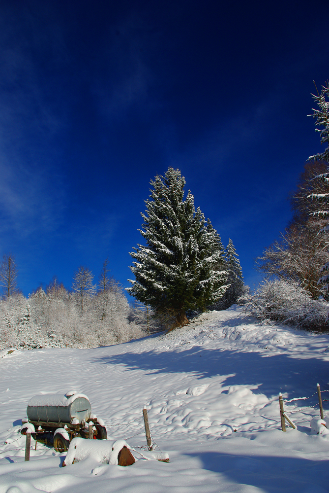 Winter im Allgäu