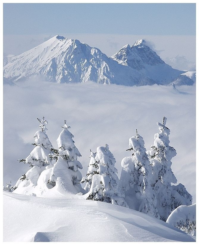 Winter im Allgäu