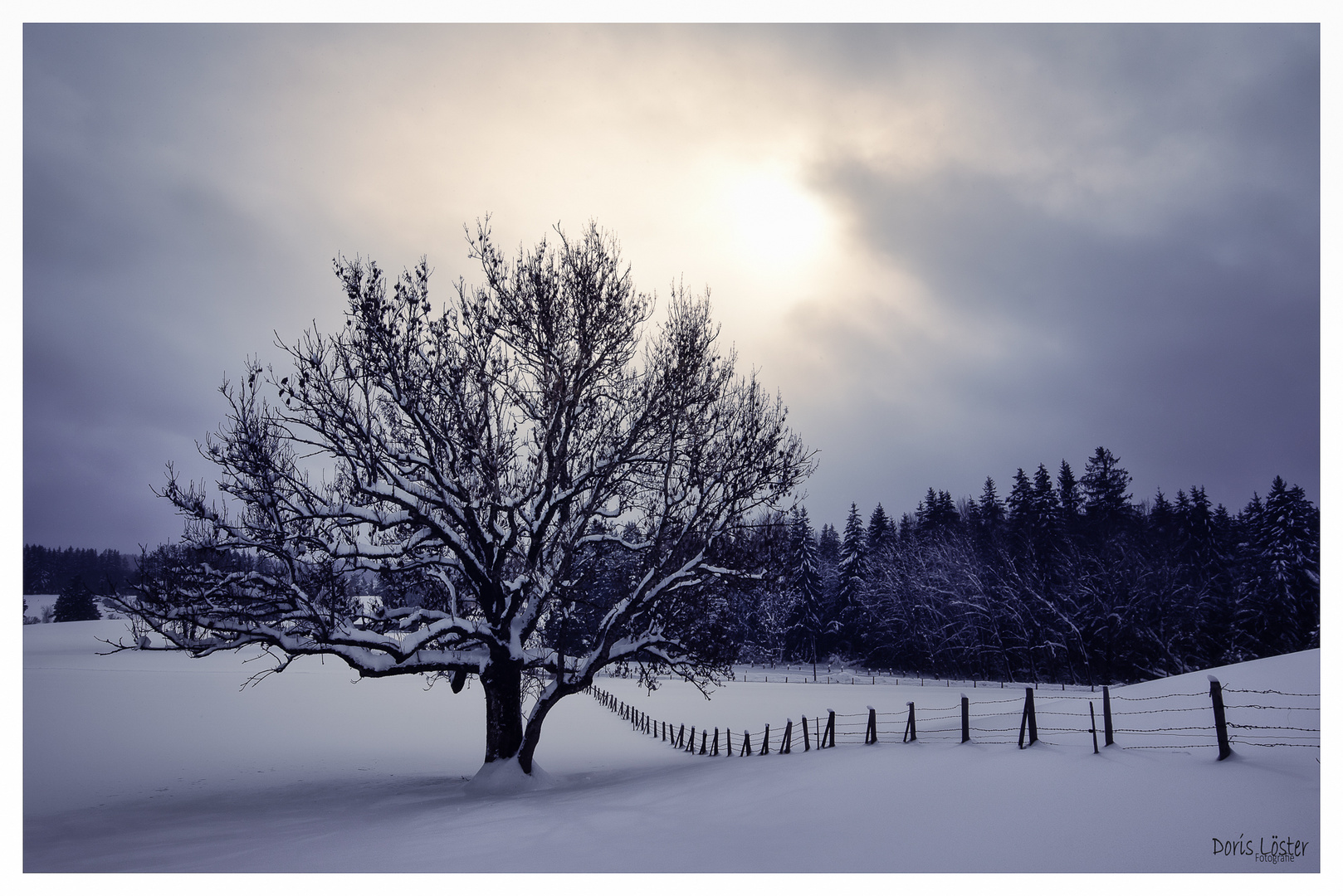 Winter im Allgäu