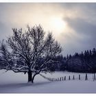 Winter im Allgäu