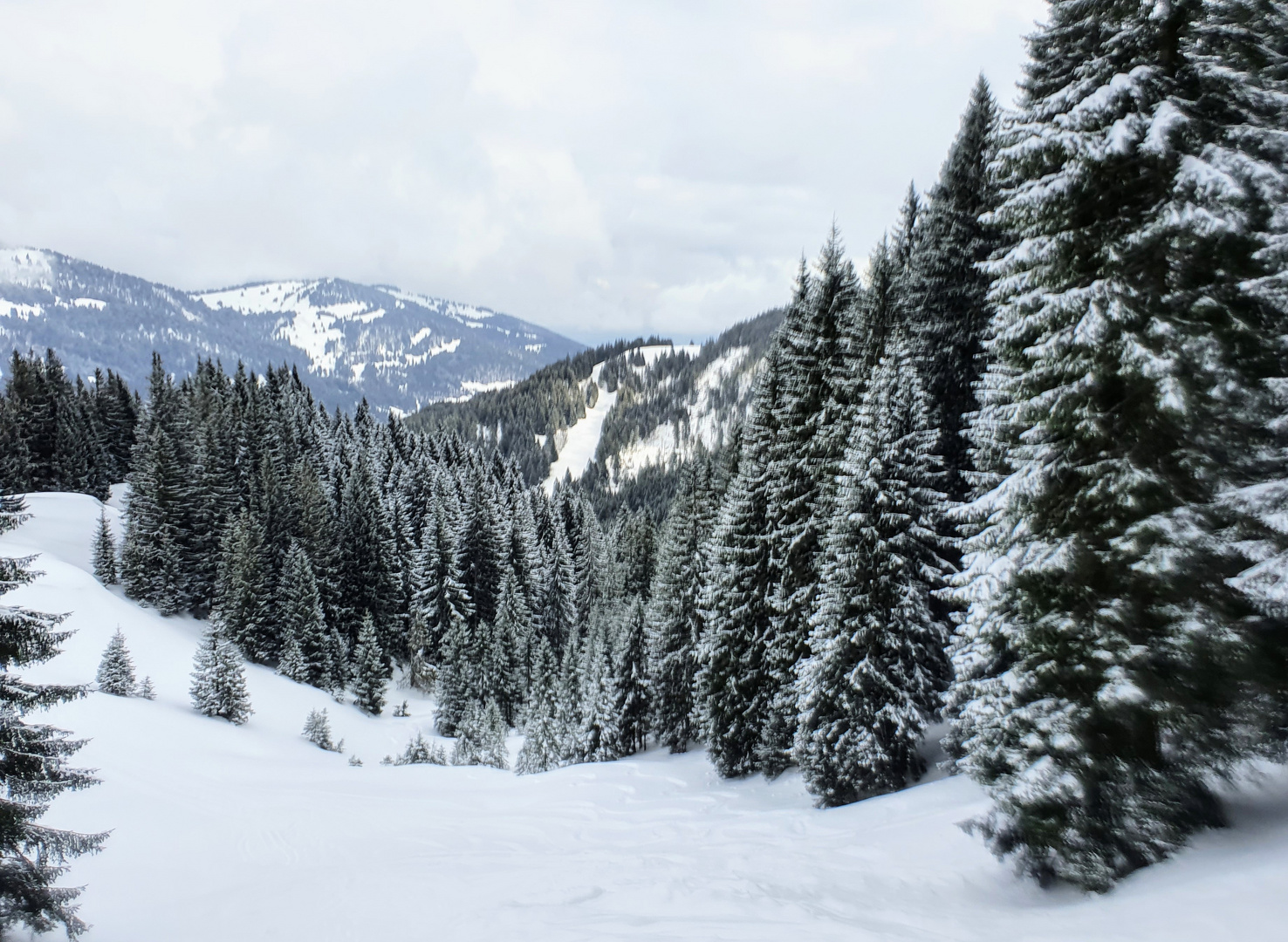 Winter im Allgäu