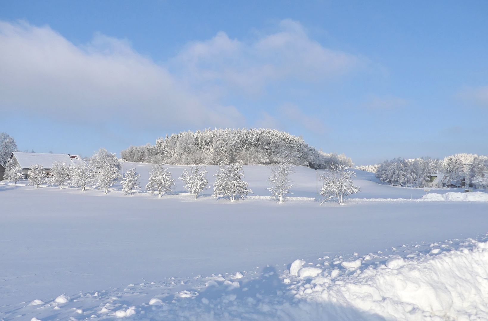 Winter im Allgäu