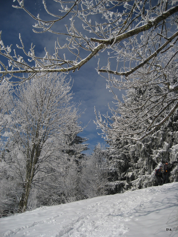 Winter im Allgäu