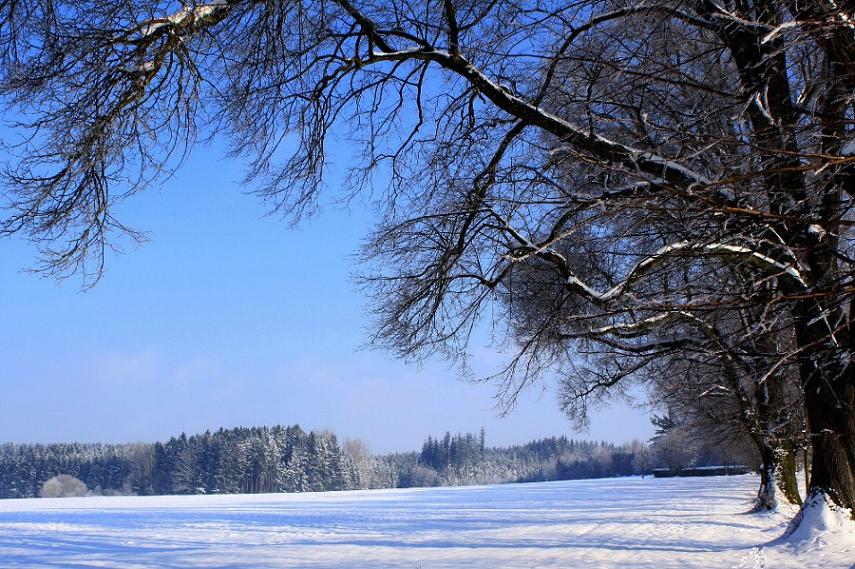 Winter im Allgäu