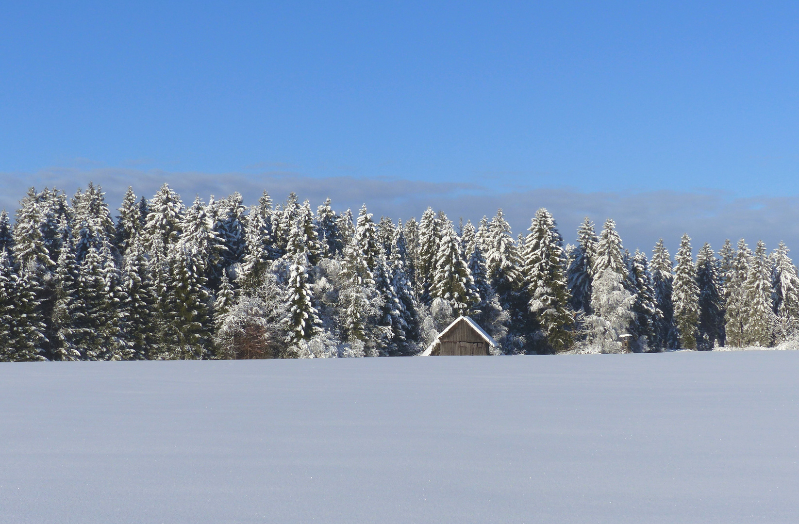 Winter im Allgäu