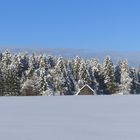 Winter im Allgäu