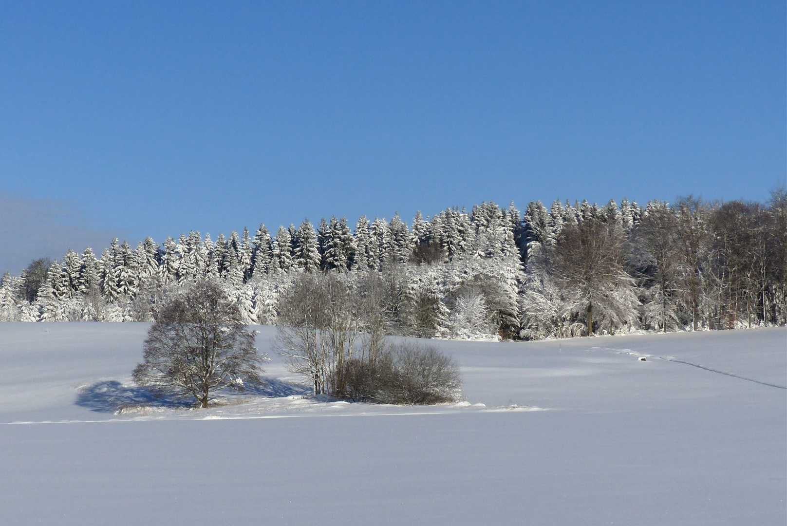 Winter im Allgäu