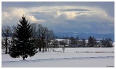 Winter im Allgäu