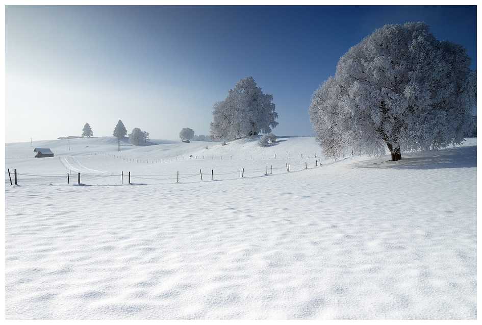 Winter im Allgäu...