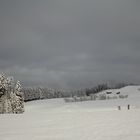 Winter im Allgäu