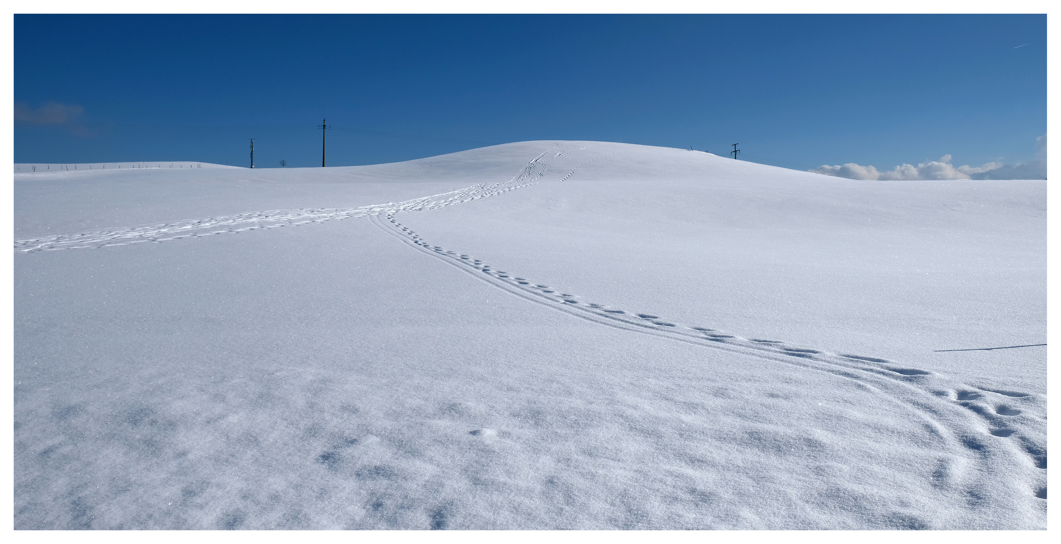 Winter im Allgäu (I)