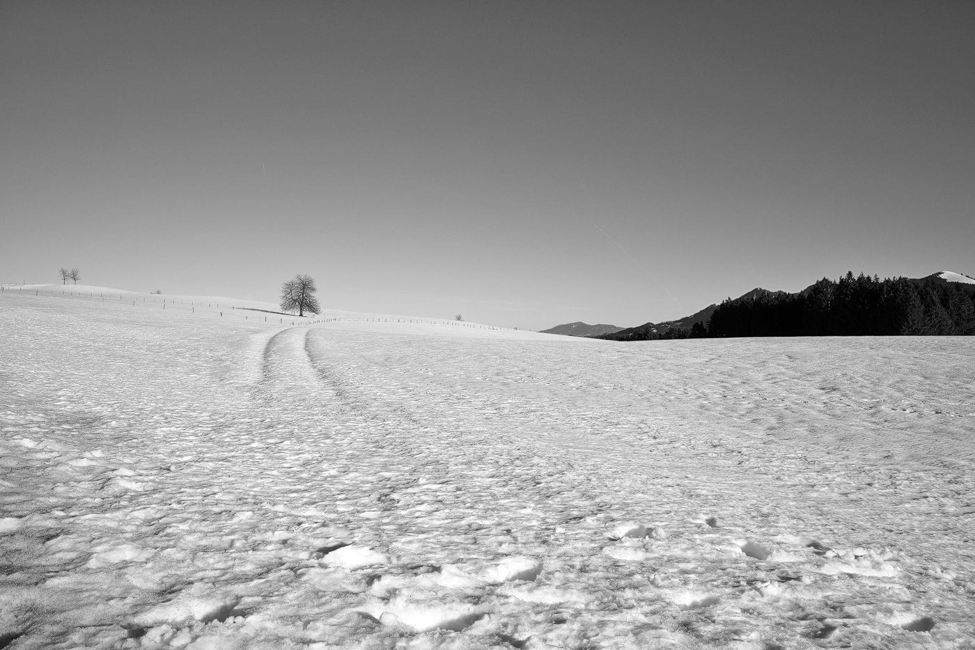 Winter im Allgäu II