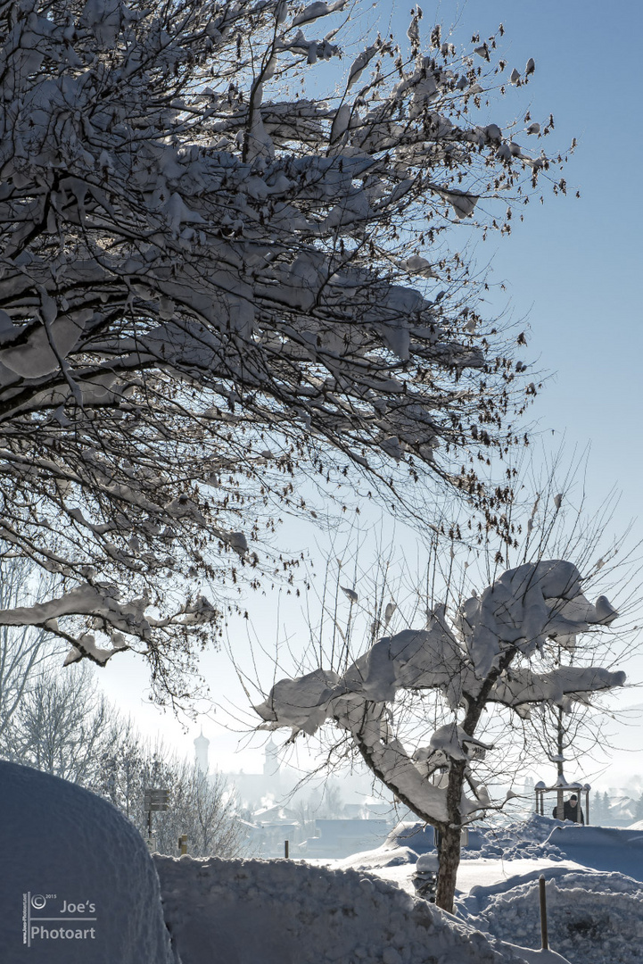 Winter im Allgäu III