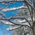 Winter im Allgäu IV