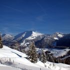 Winter im Allgäu - So schön kann Wasser in kristalliner Form sein... ;-)