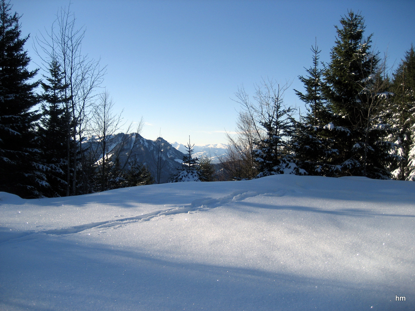 Winter im Alpenvorland