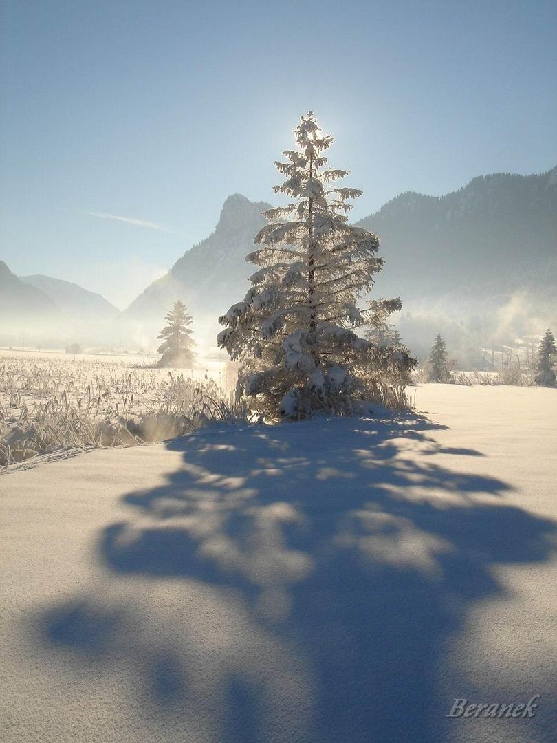 Winter im Ammertal2