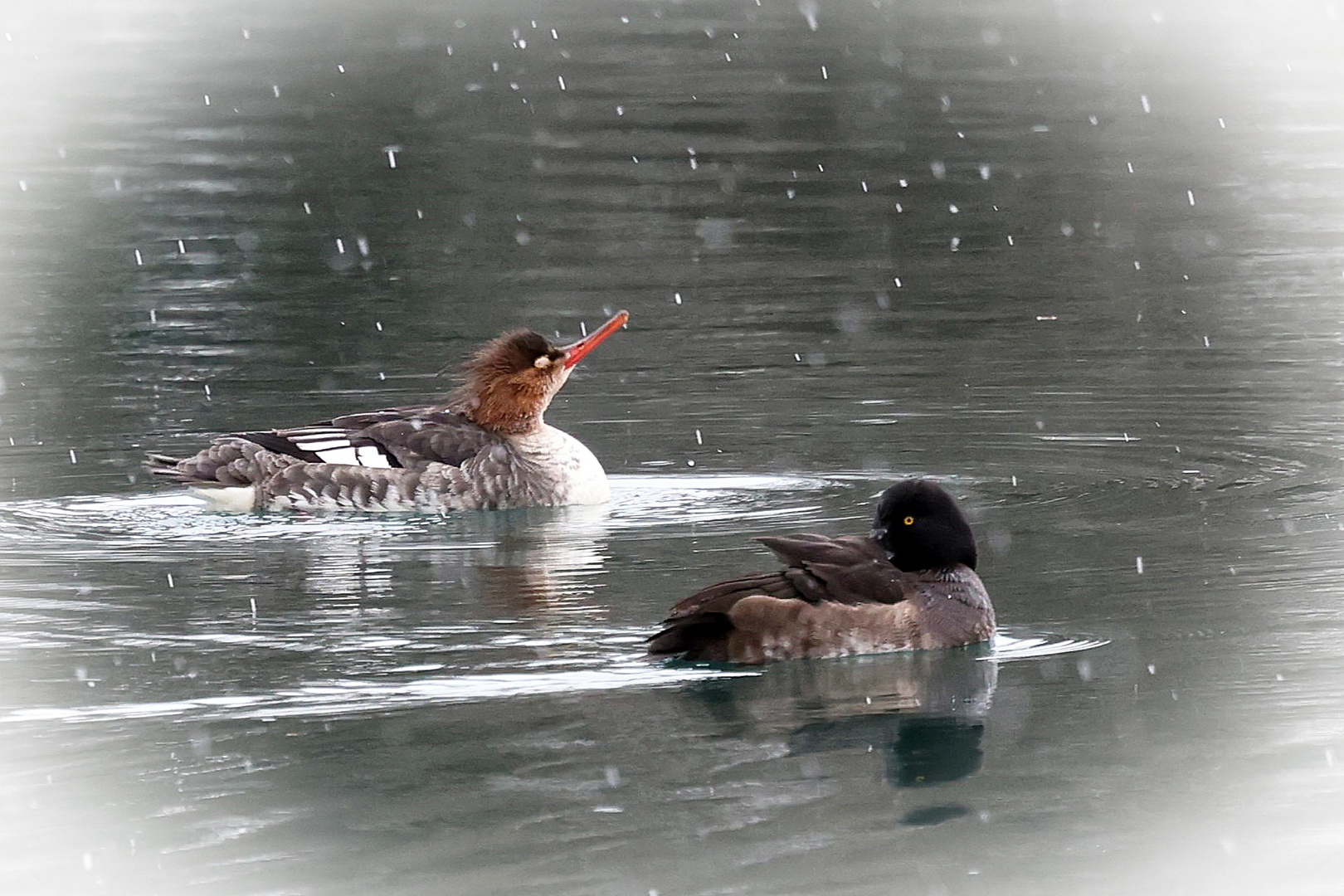 Winter im Anmarsch