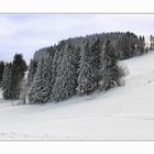 Winter im Appenzellerland 3