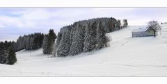 Winter im Appenzellerland 3