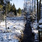Winter im Arnsberger Wald