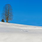 Winter im Ausseerland in der Steiermark