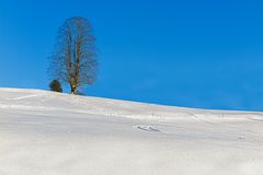 Winter im Ausseerland in der Steiermark