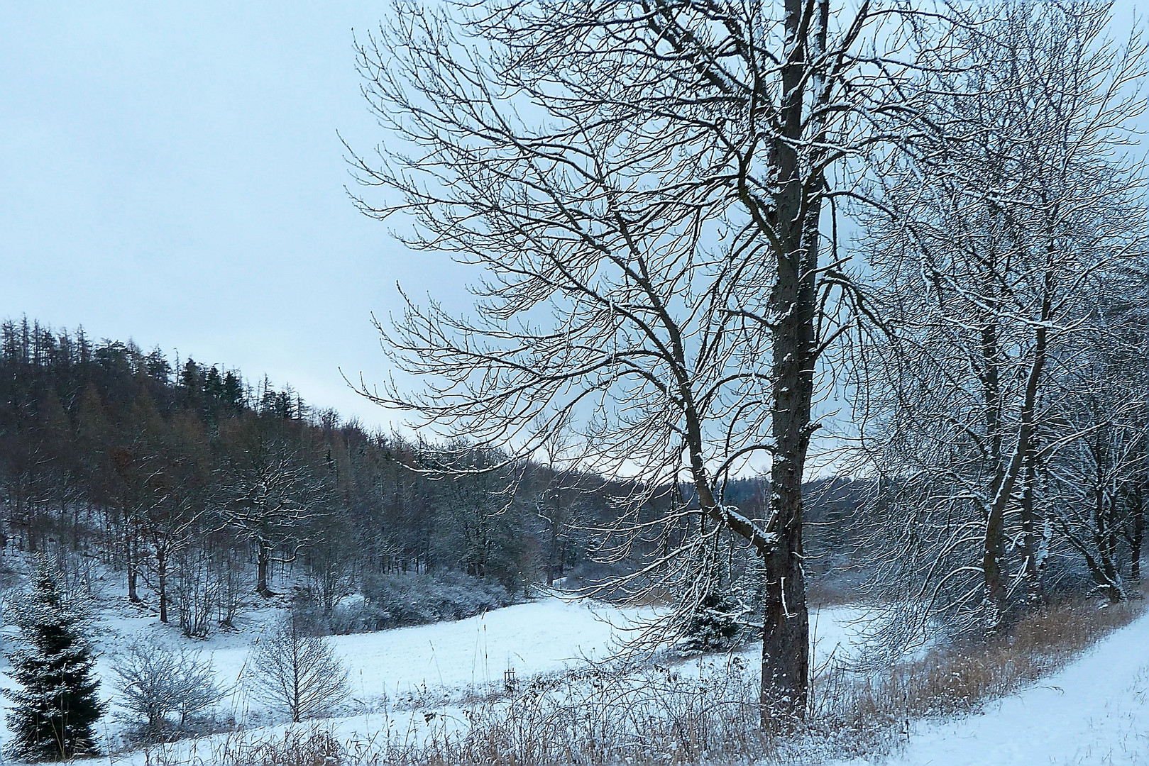 Winter im Bärenbachtal