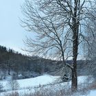 Winter im Bärenbachtal