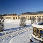 Winter im Barockgarten Großsedlitz