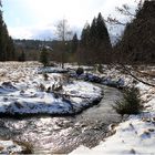 Winter im Bay. Wald 